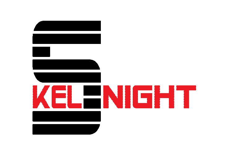 Logo der Skelnight